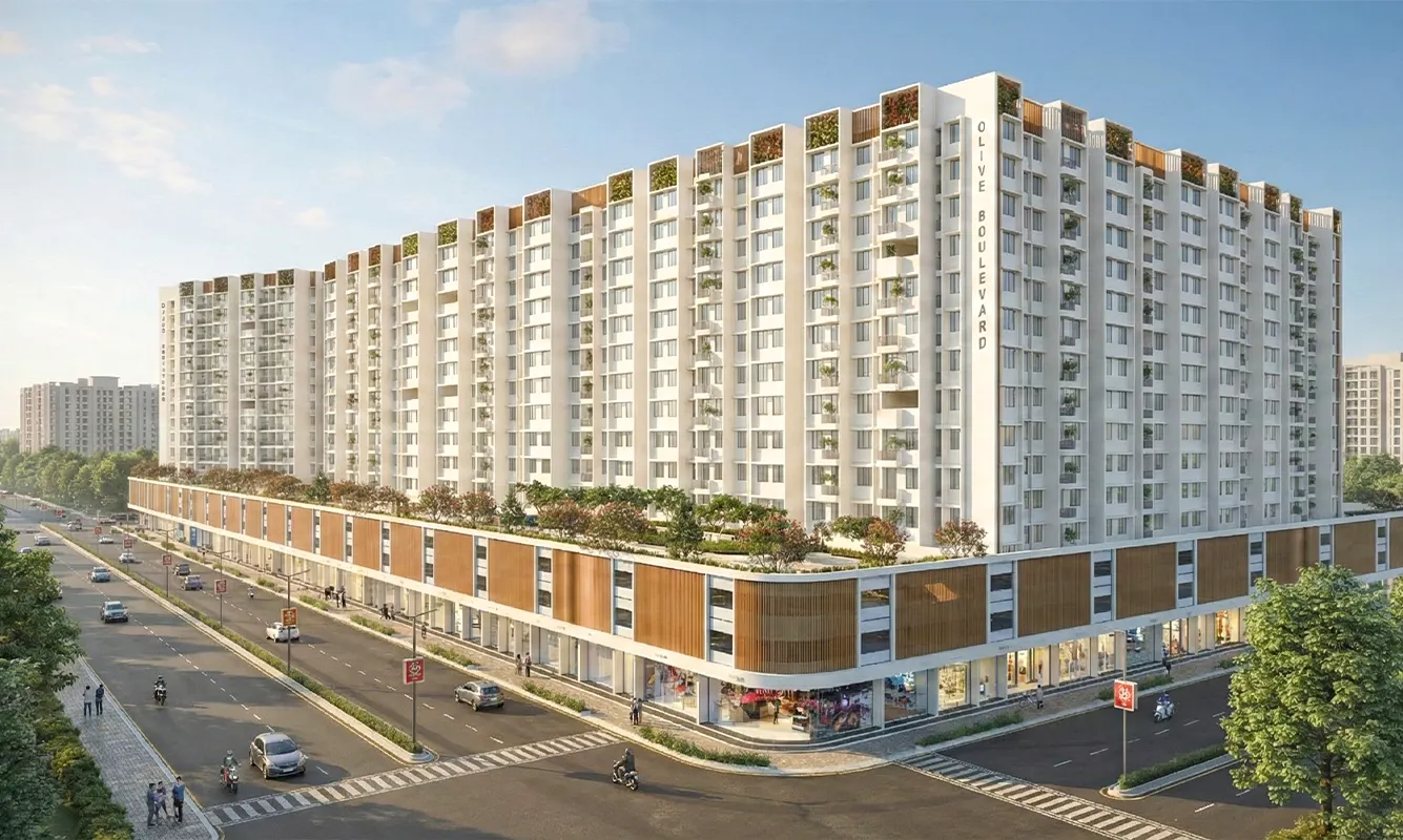Olive Boulevard Panvel