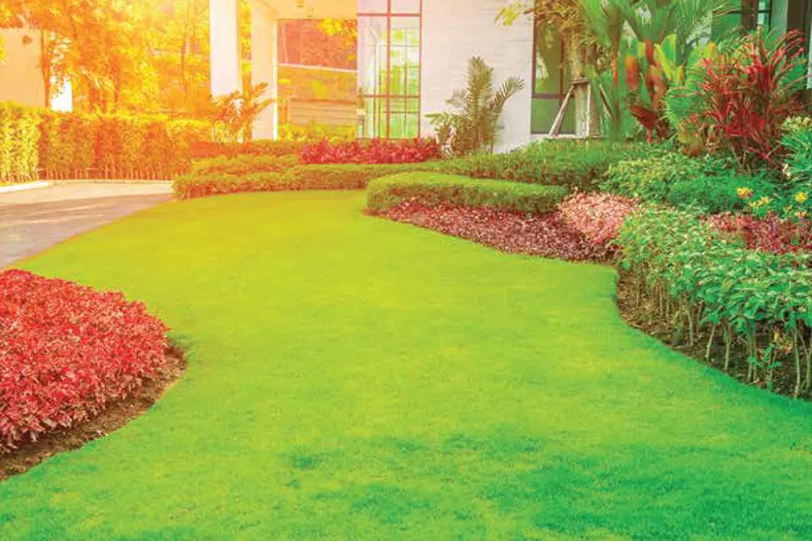 Crystal Palace Kharghar Sector 19A reviews Crystal Palace Kharghar Sector 19A