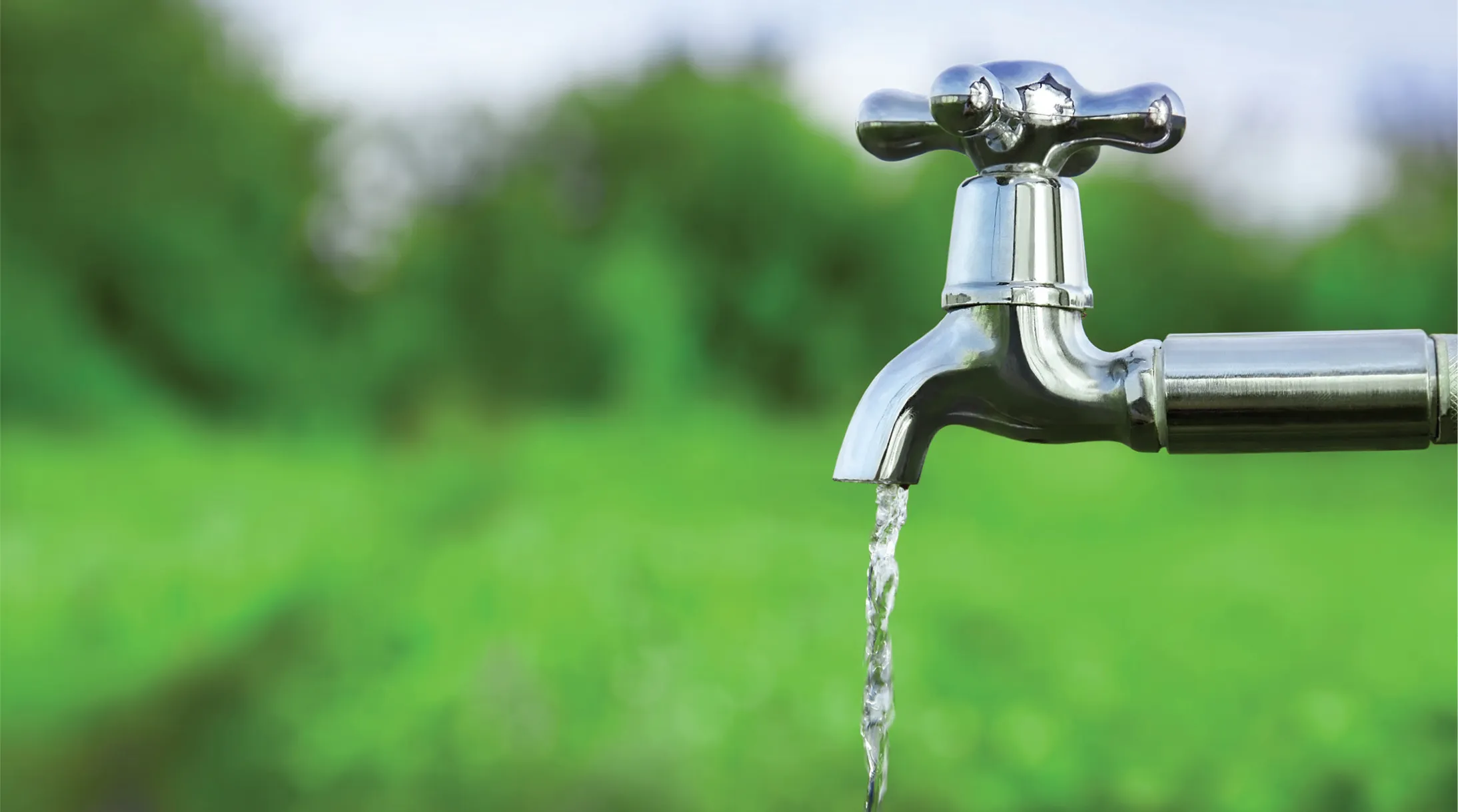 Crestone The Palm Ulwe gallery image 3