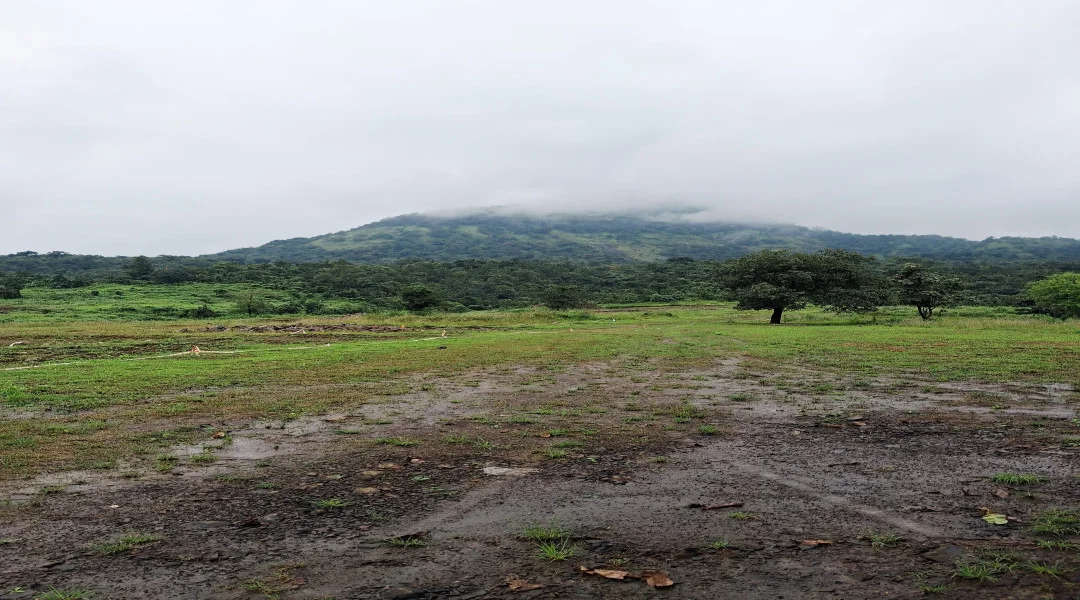 The Basalt Hills gallery image 4