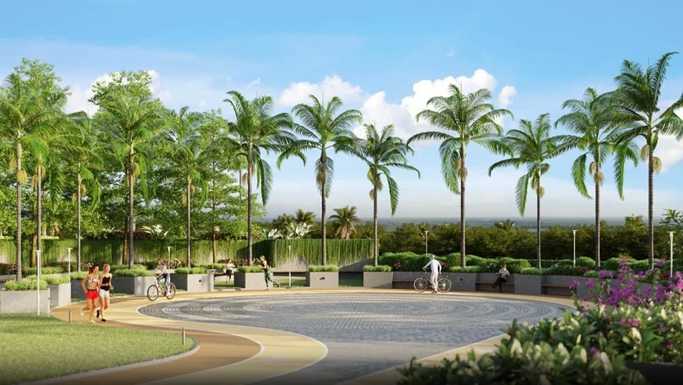 VTP Monarque gallery image 7