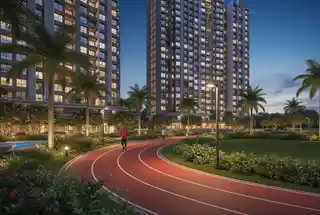 VTP Vibrance Baner gallery image 4