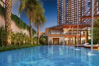 VTP Vibrance Baner gallery image 8