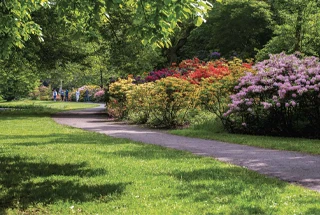 9 PBR Adani Codename Prive gallery image 4