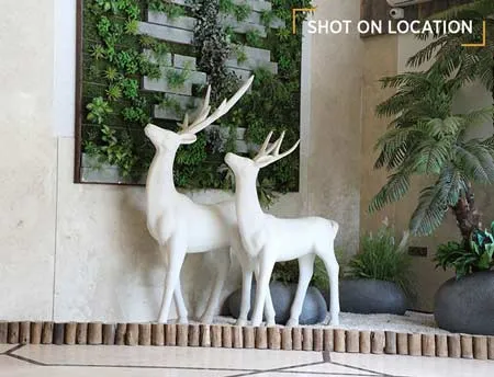 Tharwani Vedant Nakshatra gallery image 7