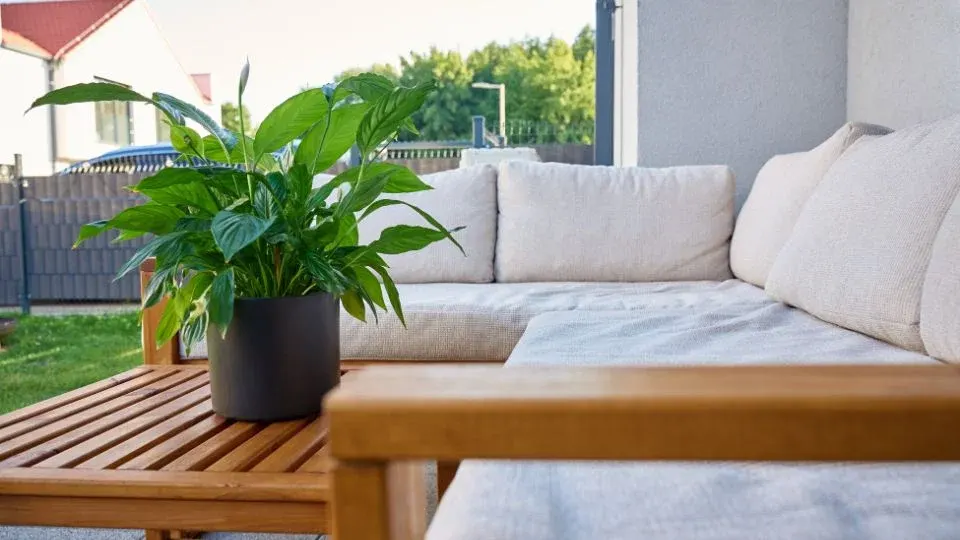 Max Homes City Panvel gallery image 8