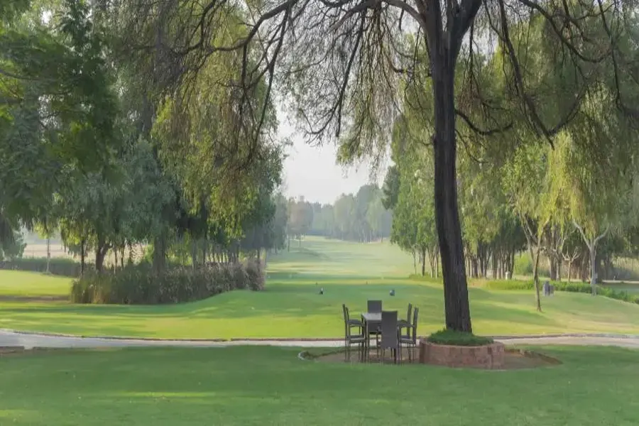 Savvy Kensville Golf Living gallery image 5