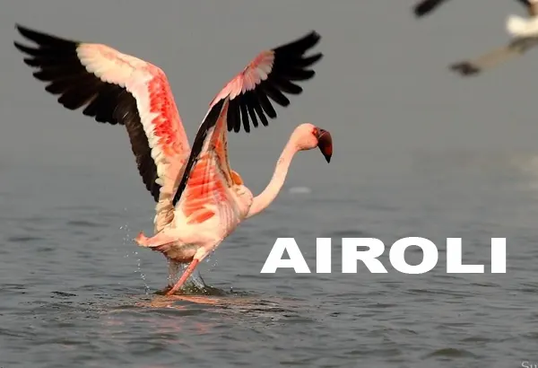 Residential projects in Navi Mumbai