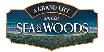 Sea and woods New Launch