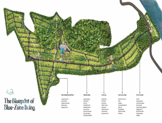 Mission Blue Zone Neral Master Plan