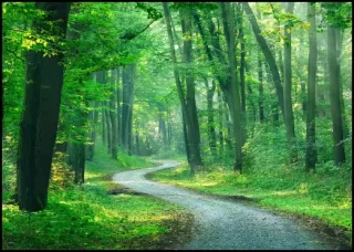Godrej Forest Estate Nagpur gallery image 4