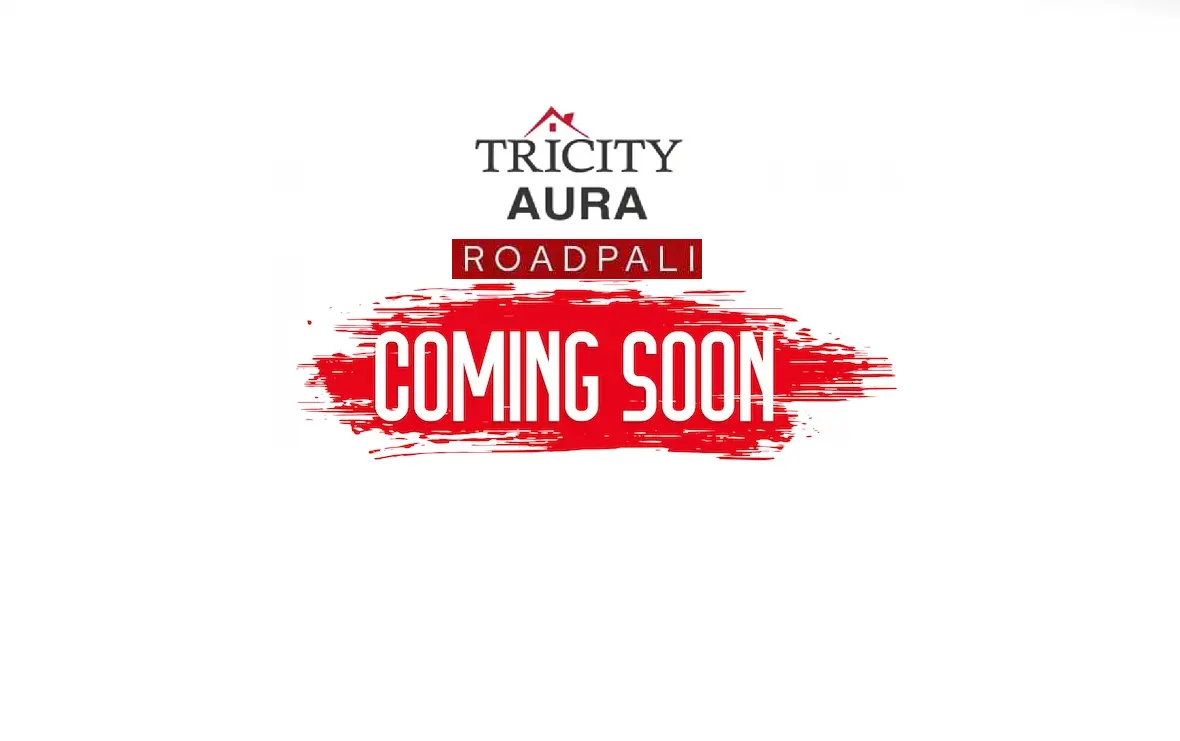 Tricity Roadpali