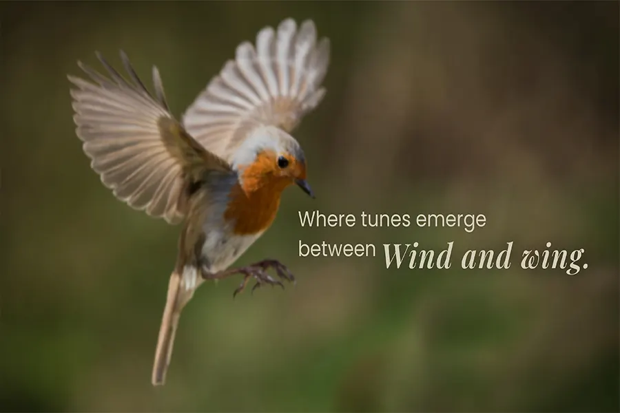 Birdsong by Ratnaakar Ahmedabad virtual tour