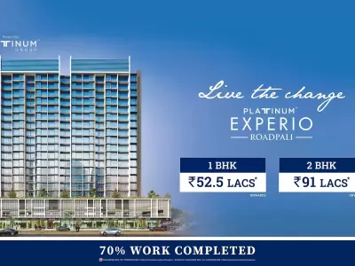 Platinum Experio Roadpali