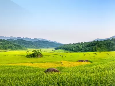 Godrej Orchard Green Estate Besa Ghogli Nagpur Plots