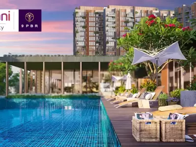 Adani 9pbr Palm Beach Road