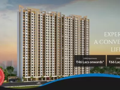 Dynamic Crest Shilphata