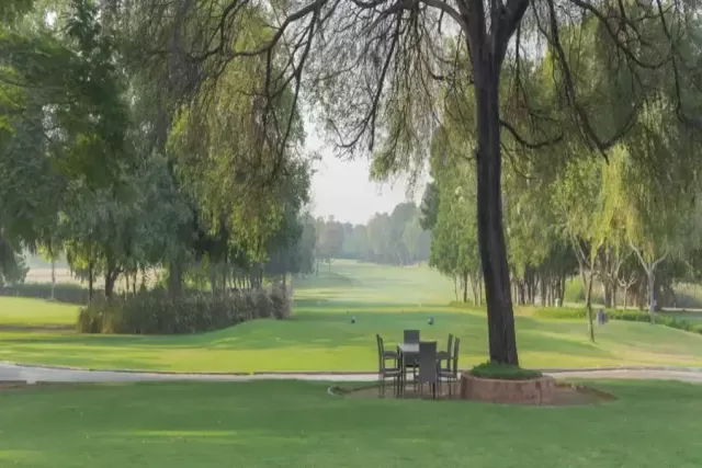 Savvy Kensville Golf Living gallery image 5